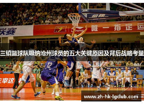 三镇篮球队吸纳沧州球员的五大关键原因及背后战略考量