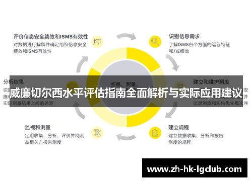 威廉切尔西水平评估指南全面解析与实际应用建议